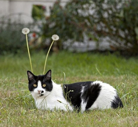 What Happened In These 23 Pictures Is So Perfect…