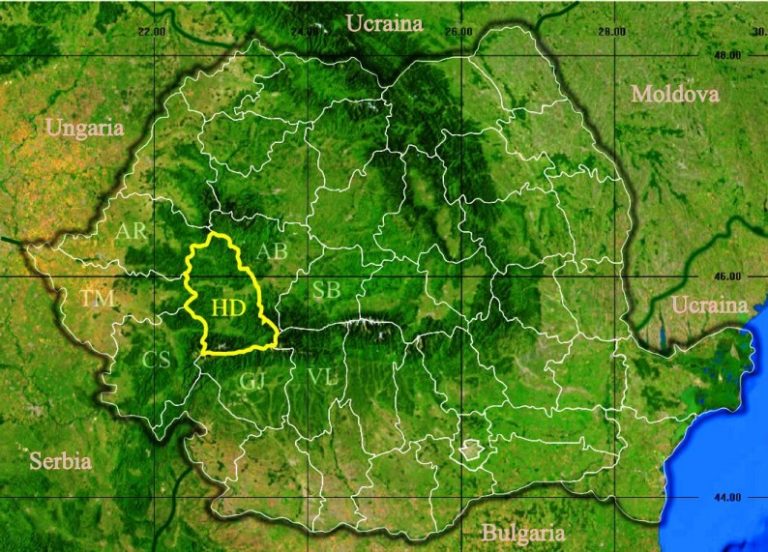 Simbolurile Hunedoarei