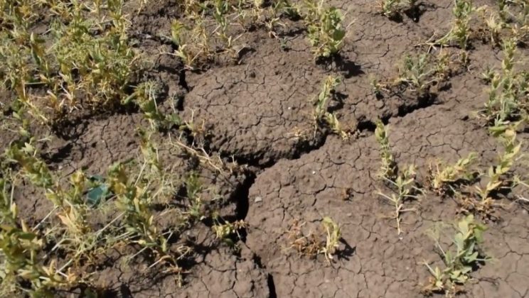 În ce constă catastrofa ecologică ce va veni şi pe care nu avem cum s-o evităm